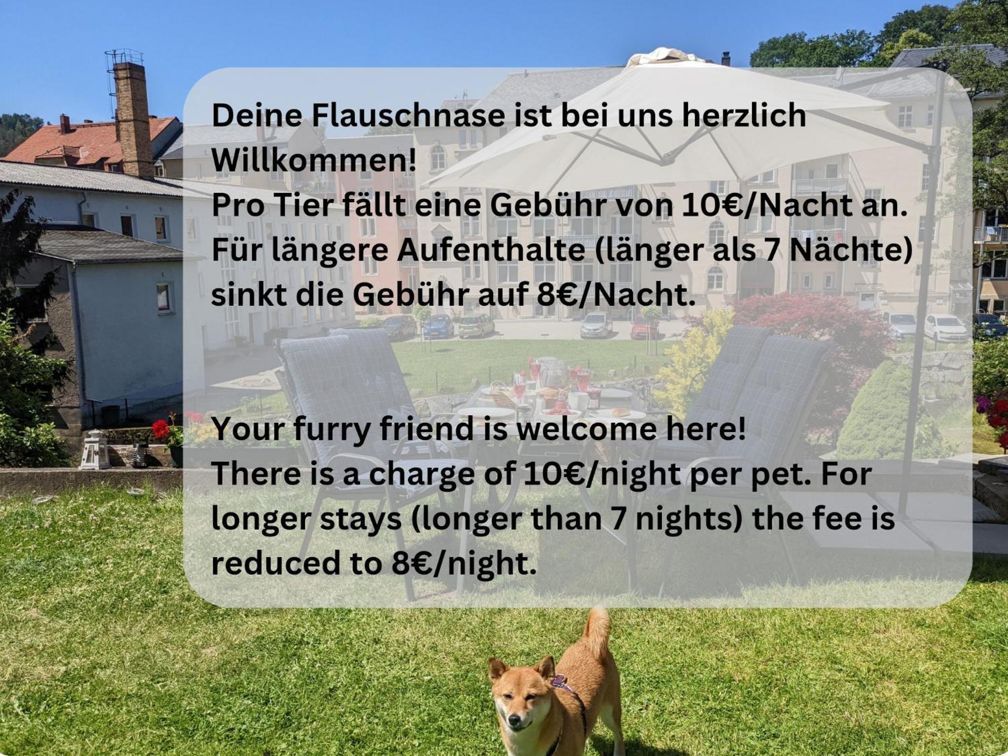 F4 - Urlaubsmagie - Grosse Wohnung Fuer Bis Zu 10 Personen زبنيتس المظهر الخارجي الصورة
